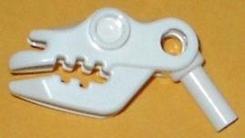 Animal Body Part, Skull, Cattle in White
