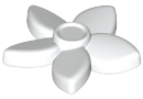 Plant, Flower with 5 Pointed Petals and Pin in White