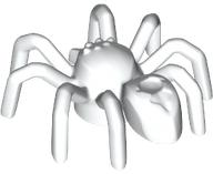 Insect, Spider with Elongated Tail Section in White