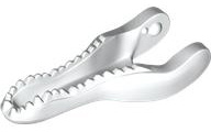 Animal Body Part, Dinosaur, Baryonyx Lower Jaw [Plain] in White
