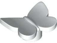 Insect, Butterfly in White