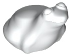 Animal, Frog in White