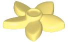 Plant, Flower with 5 Pointed Petals and Pin in Bright Light Yellow