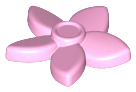 Plant, Flower with 5 Pointed Petals and Pin in Bright Pink