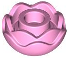 Plant, Flower, Peony Rose with 2 Layers in Bright Pink