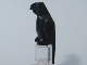 Animal, Bird, Parrot [Plain] in Black