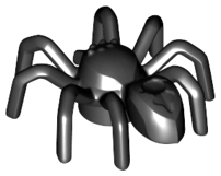 Insect, Spider with Elongated Tail Section in Black