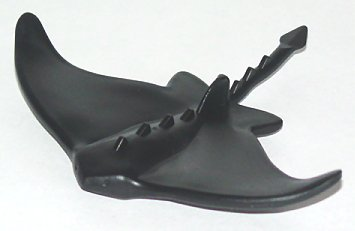 Animal, Manta Ray in Black