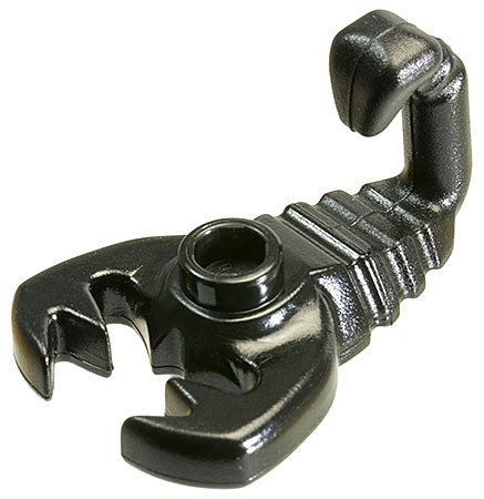 Animal, Scorpion in Black