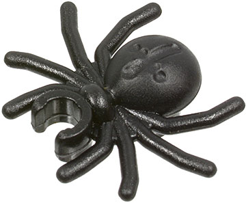 Insect, Spider in Black