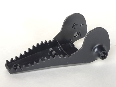 Animal Body Part, Dinosaur, Head Toothed, Jaw Bottom in Black