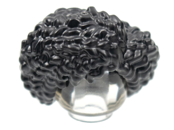 Hair Coiled, Parted in Black