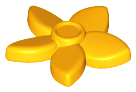 Plant, Flower with 5 Pointed Petals and Pin in Bright Light Orange