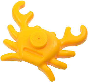 Animal, Crab in Bright Light Orange