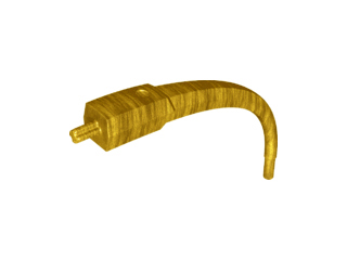 Large Figure Tail / Horn in Pearl Gold