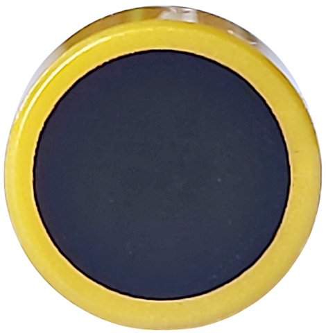 Tile Round 1 x 1 with Large Black Dot print in Pearl Gold