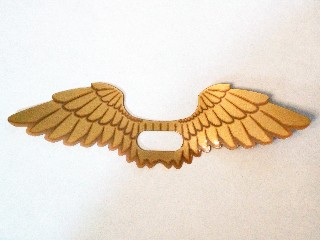 Wings, Collapsed with Feathers Print in Trans-Clear
