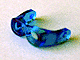 Headwear Accessory Glasses / Goggles in Trans-Dark Blue
