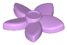 Plant, Flower with 5 Pointed Petals and Pin in Medium Lavender