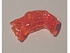 Large Figure Head Connector Block Eye / Brain Stalk in Trans-Neon Orange