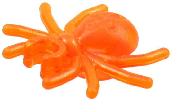Insect, Spider in Trans-Neon Orange