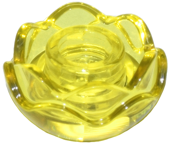 Plant, Flower, Peony Rose with 2 Layers in Trans-Yellow