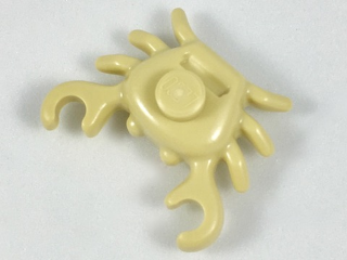 Animal, Crab in Tan