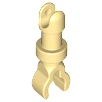 Arm Skeleton in Tan