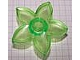 Duplo Plant, Flower with 1 Top Stud in Trans-Light Bright Green