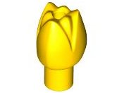 Plant, Flower, Tulip in Yellow