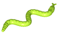 Animal, Snake, Small in Lime