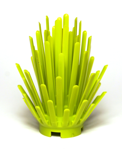 Plant, Bush 2 x 2 x 4 in Lime