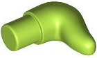Animal Body Part, Horn (Cattle) in Lime
