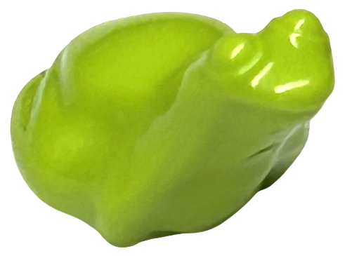 Animal, Frog in Lime