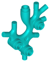 Animal / Plant, Coral / Sea Weed in Dark Turquoise