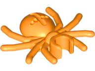Insect, Spider in Orange