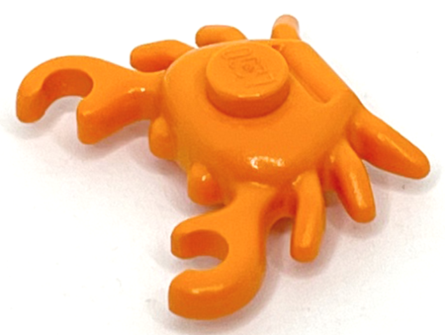 Animal, Crab in Orange