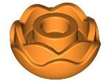 Plant, Flower, Peony Rose with 2 Layers in Orange