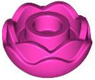Plant, Flower, Peony Rose with 2 Layers in Dark Pink