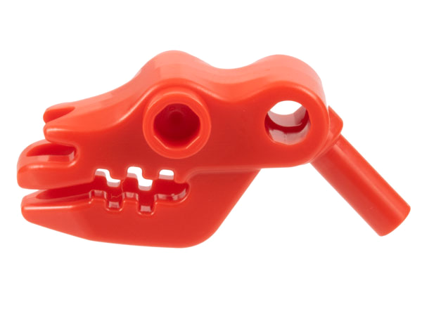Animal Body Part, Skull, Cattle in Red