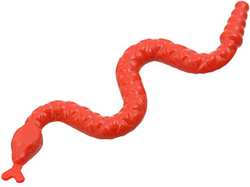 Animal, Snake, Small in Red
