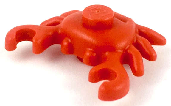 Animal, Crab in Red