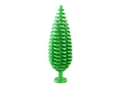 Plant, Tree Cypress in Green