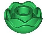 Plant, Flower, Peony Rose with 2 Layers in Green