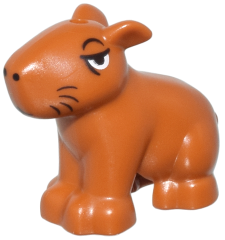 Animal, Capybara in Dark Orange