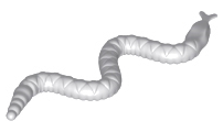 Animal, Snake, Small in Light Bluish Gray