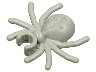 Insect, Spider in Light Gray