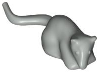 Animal, Rodent, Rat / Mouse [Plain] in Light Gray