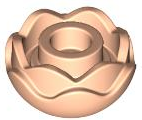 Plant, Flower, Peony Rose with 2 Layers in Light Nougat