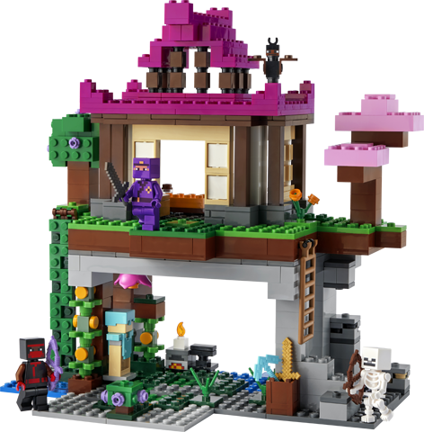 LEGO 21183 The Training Grounds